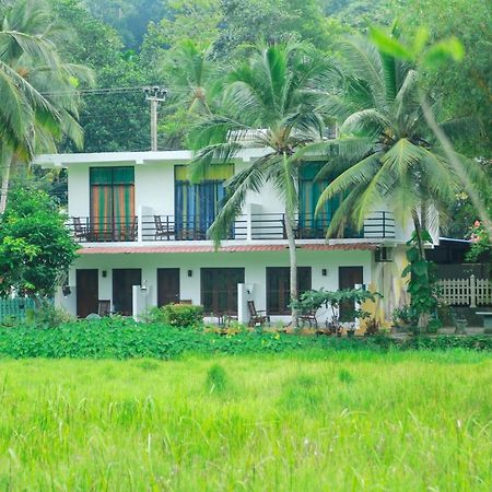 Paddy Field View Resort Mirissa Exteriér fotografie