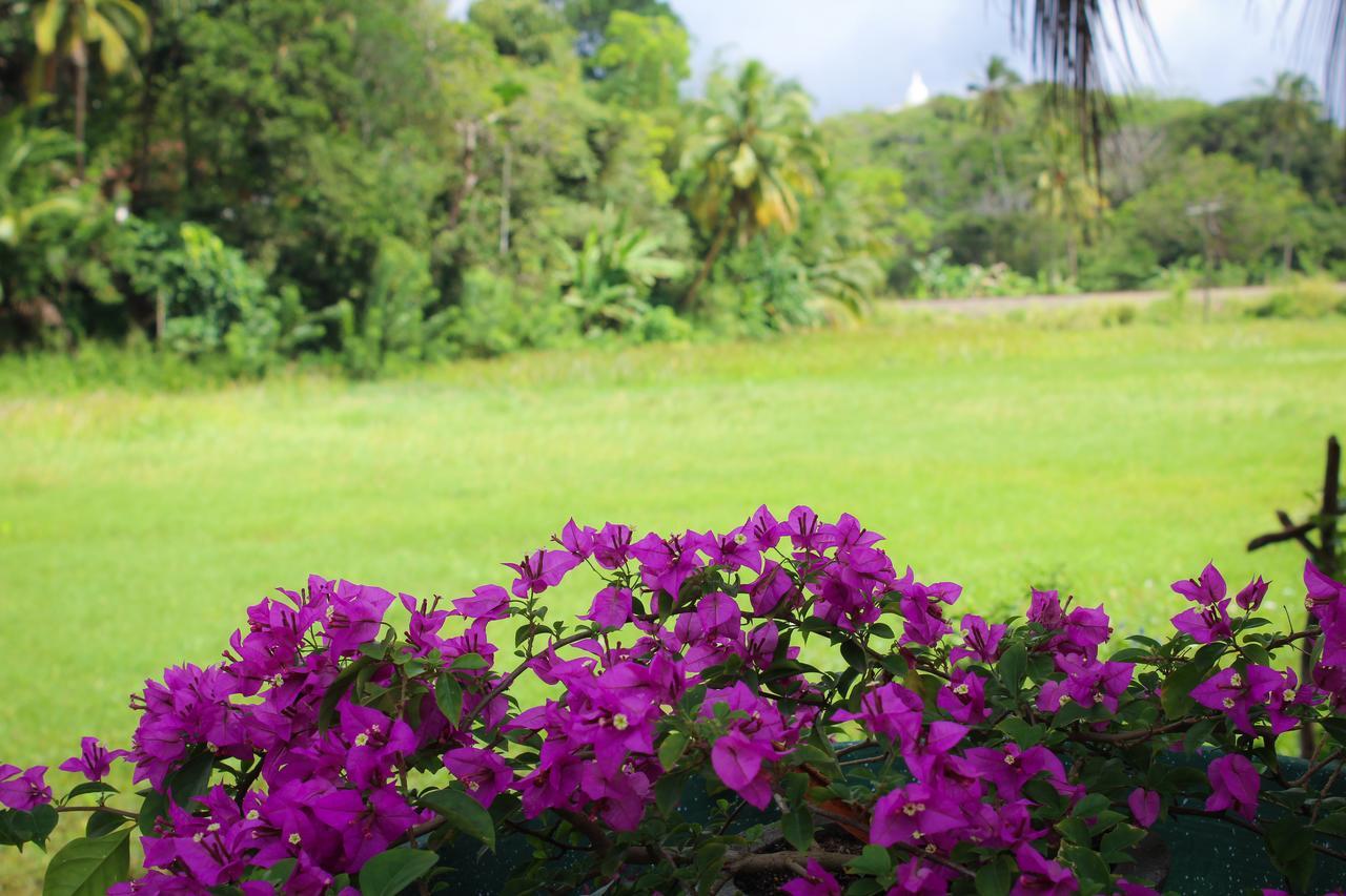 Paddy Field View Resort Mirissa Exteriér fotografie