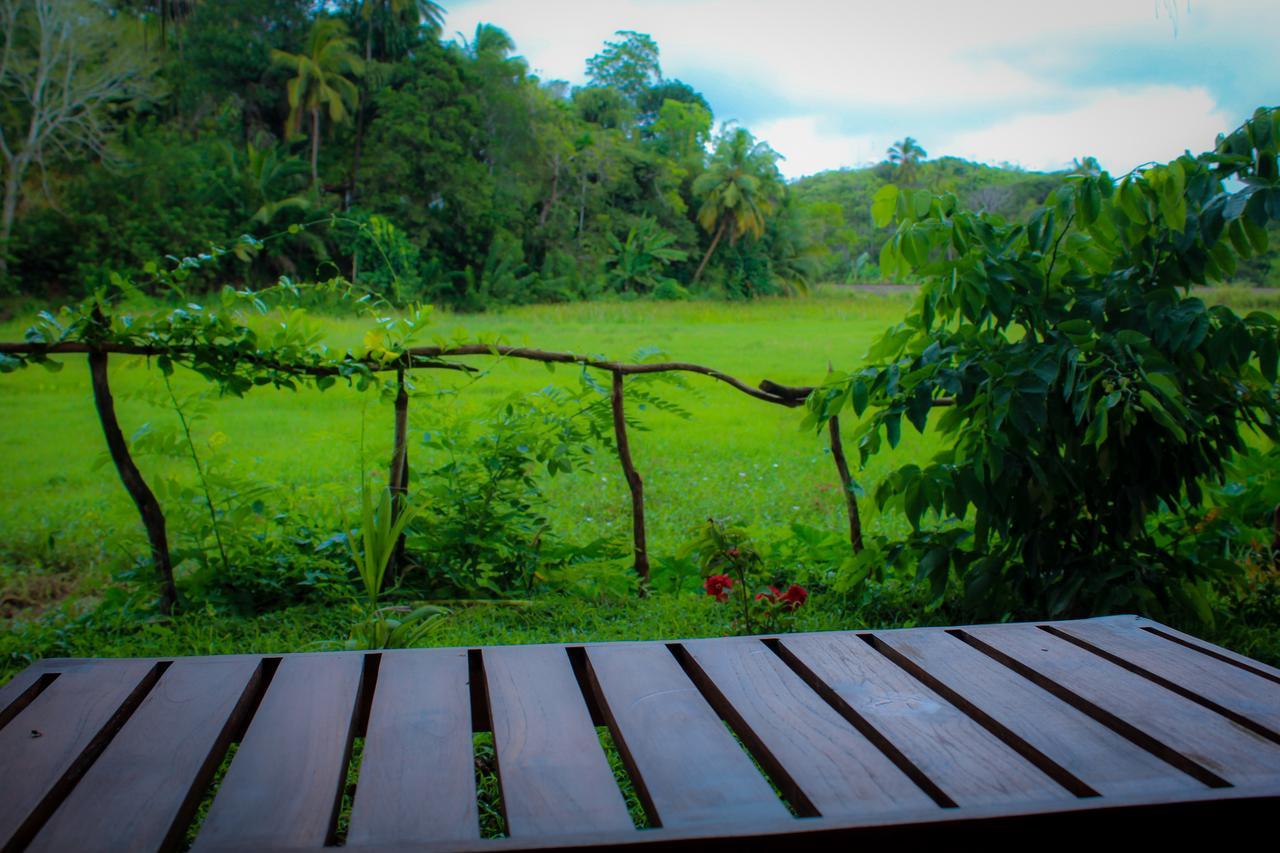 Paddy Field View Resort Mirissa Exteriér fotografie