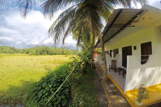 Paddy Field View Resort Mirissa Exteriér fotografie