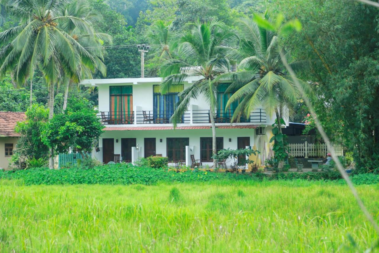Paddy Field View Resort Mirissa Exteriér fotografie